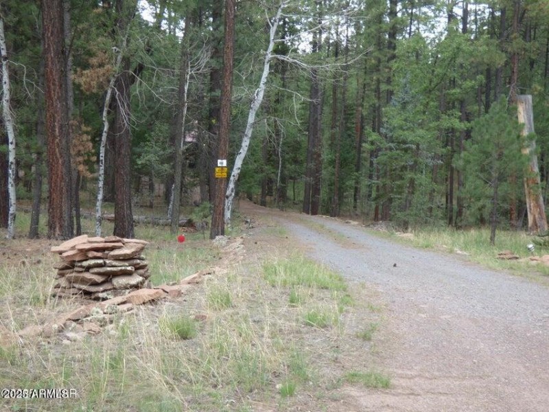 20250909062844556257000000-o