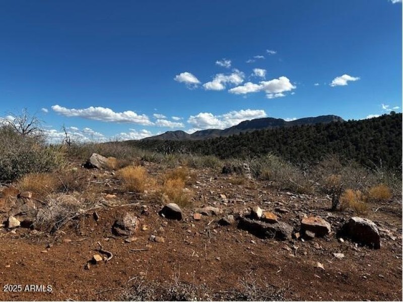 Different rocks and fossils