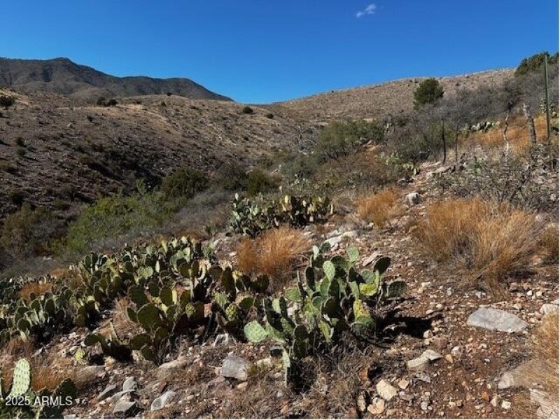View to Tonto National Forest