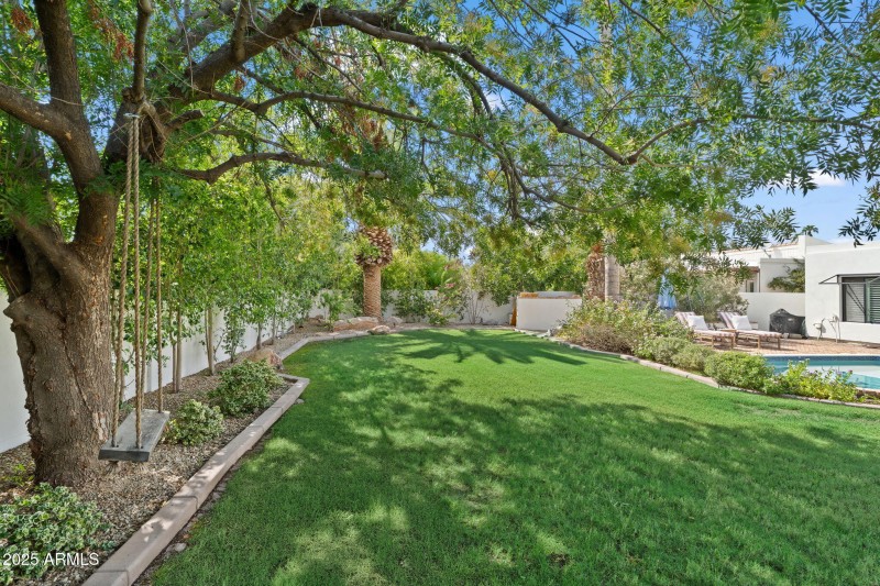 Charming Backyard Swing