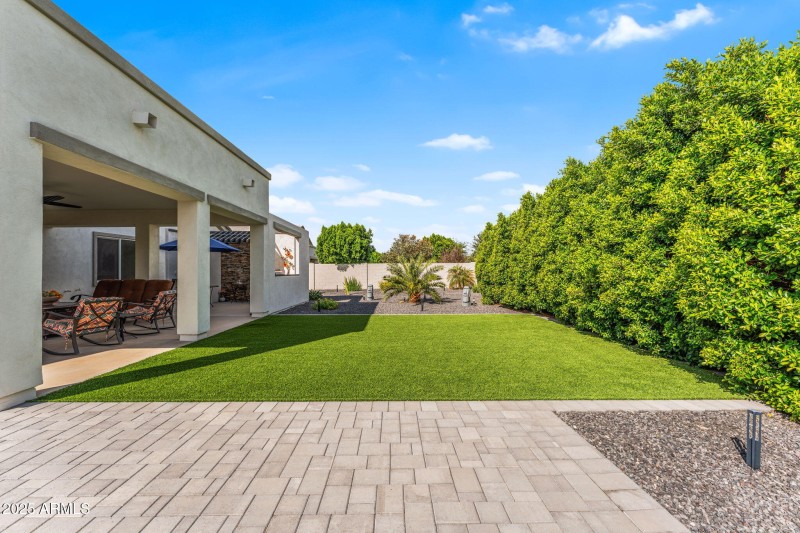 Backyard