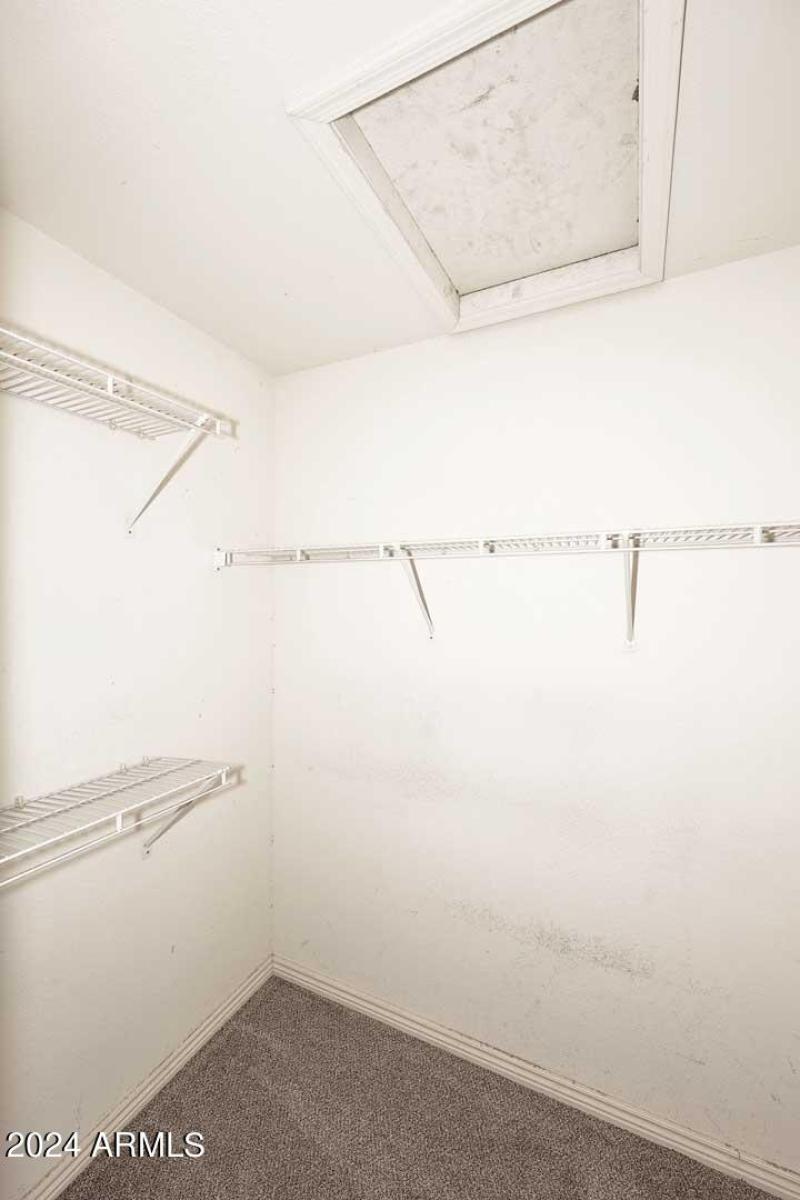 Primary Bath-Closet (1)