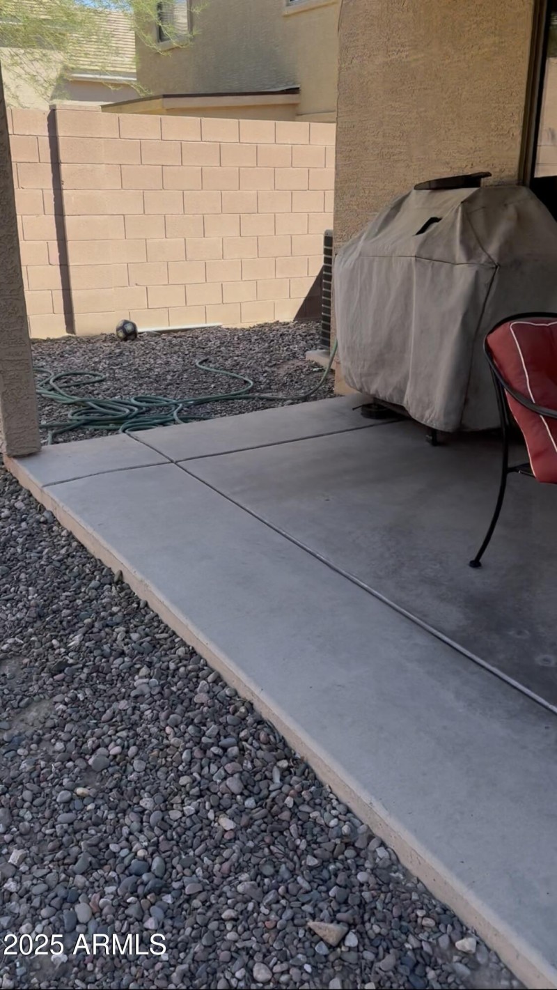 Backyard1