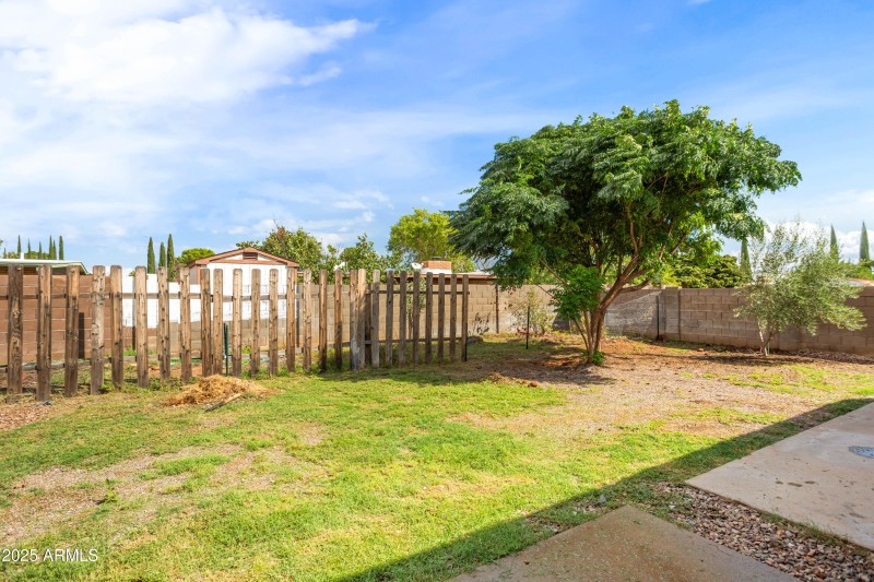 Backyard