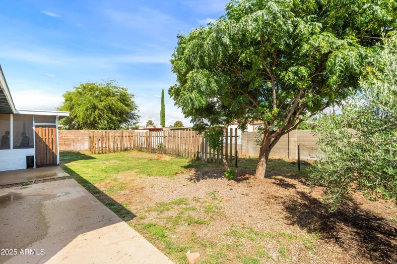 Backyard