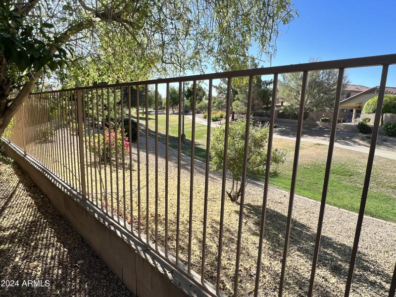 Photo Jun 19 2023, 8 10 07 AM