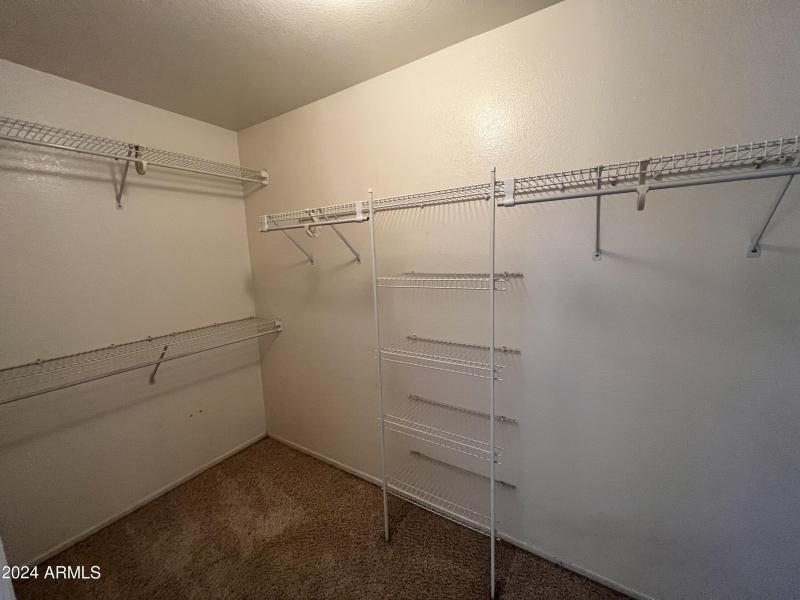 Photo Jun 19 2023, 8 01 48 AM