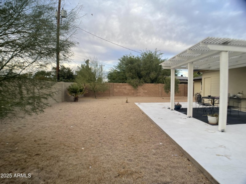 backyard