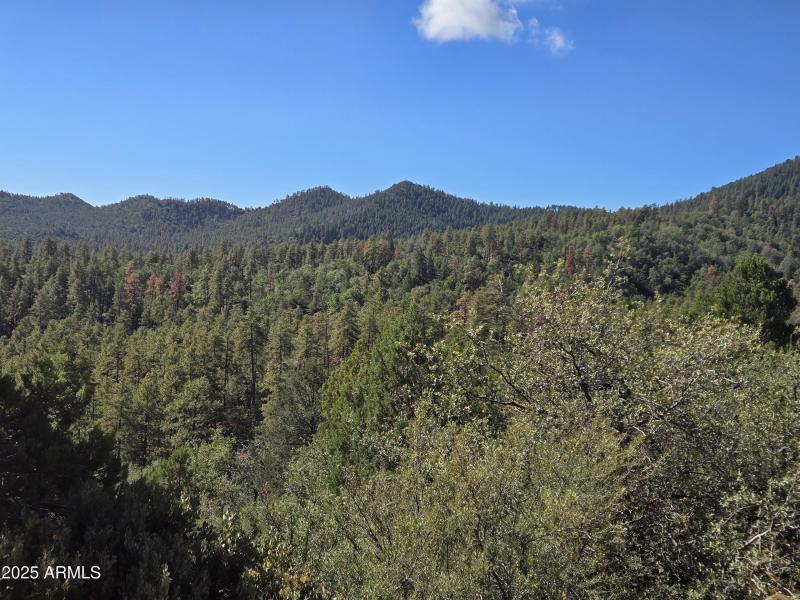 Million Dollar Views