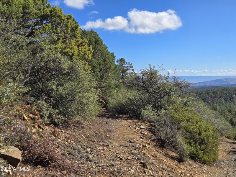 Just add your dream home