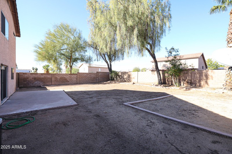 Jackson Backyard 4 Dec 2023