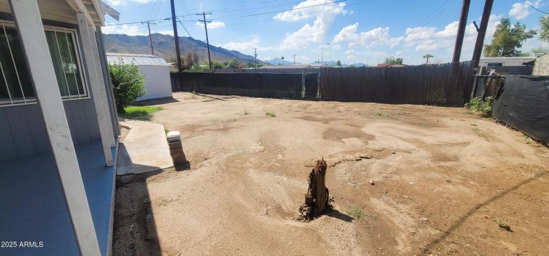 Rear Yard with Alley Access