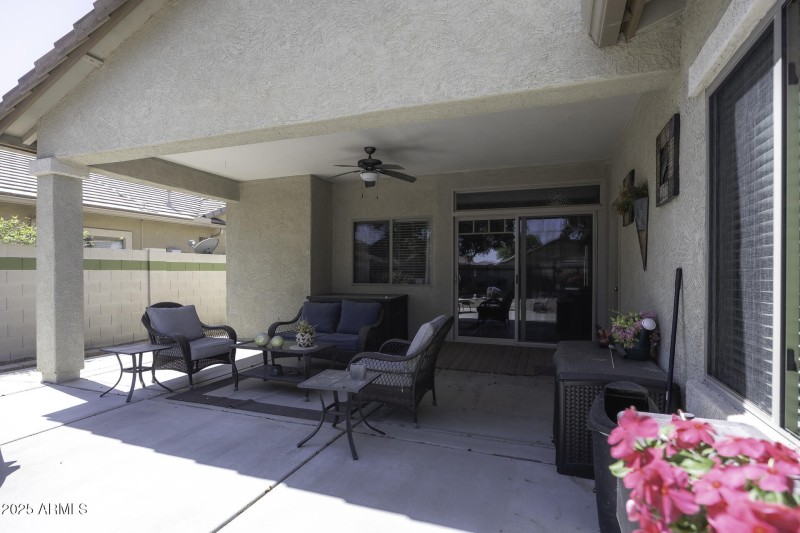 Back Patio