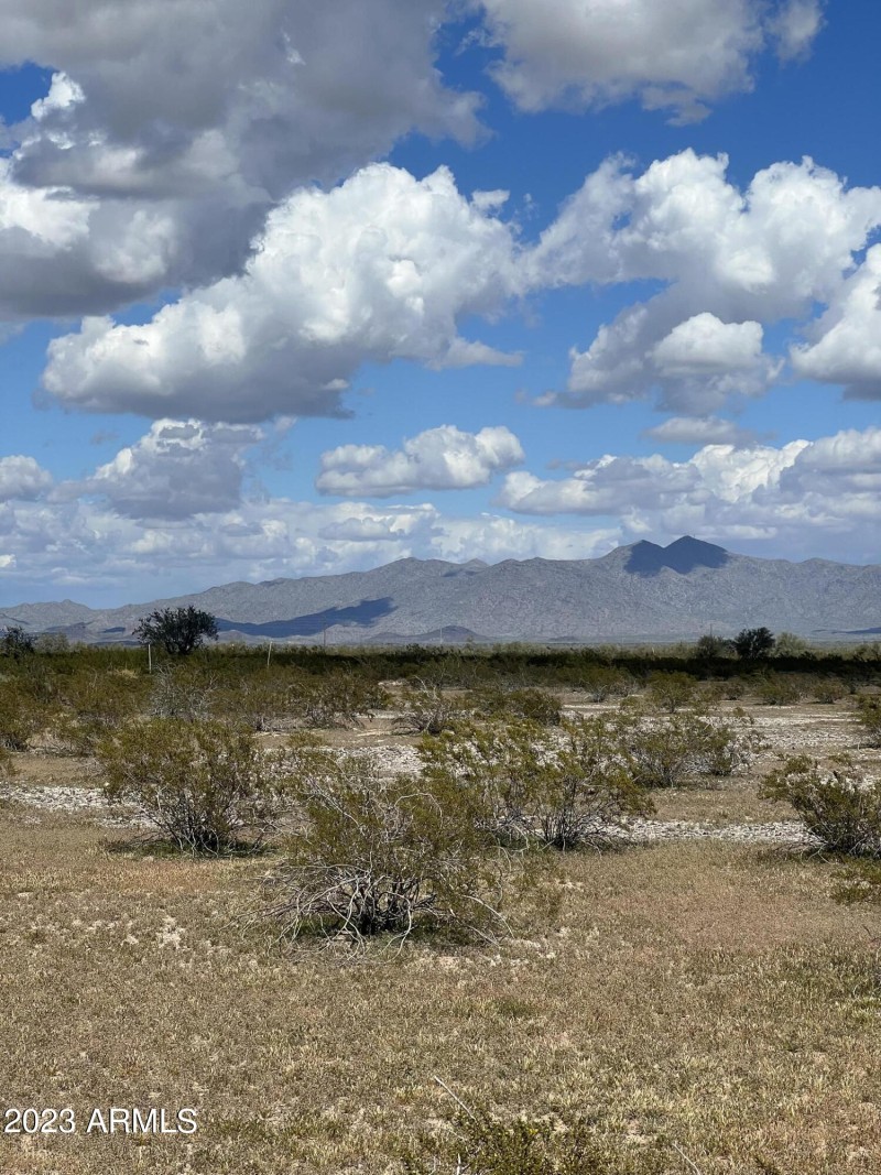 4634DF24-1124-40C2-A66E-CCDC838687E3