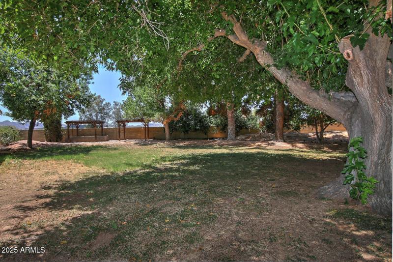 Large Backyard-027-011-1500x1000