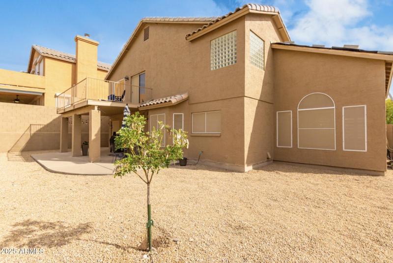 Back of Home /Backyard