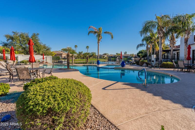 Ocotillo-Community HD-10