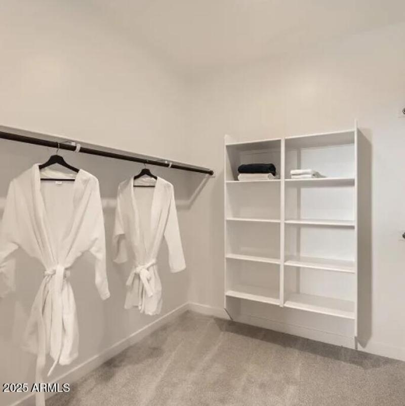 Owners Walk in Closet