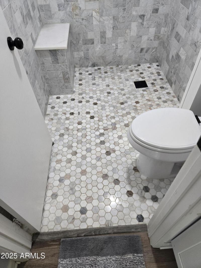 Wheel Chair Accessible Master Shower