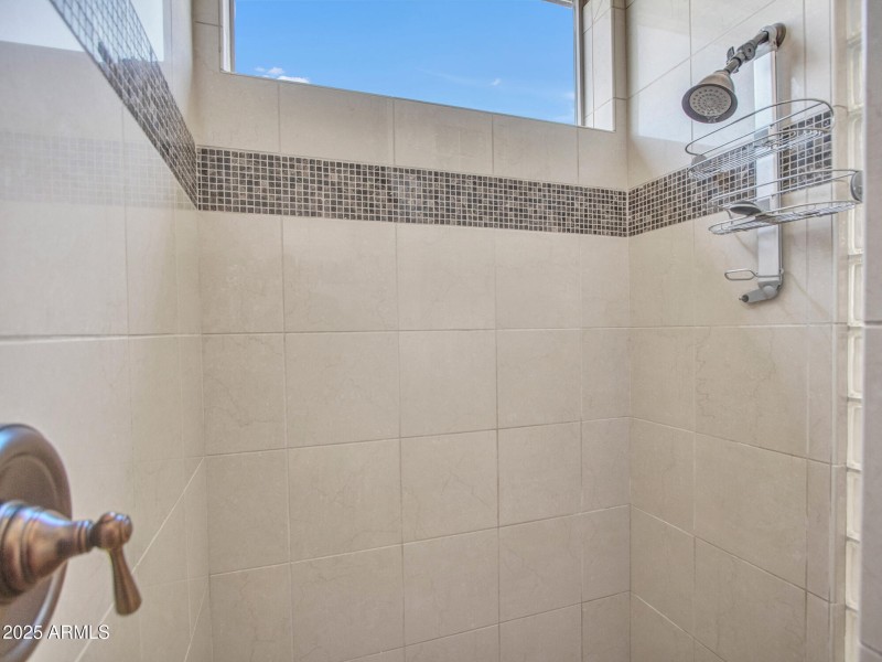 Primary Shower