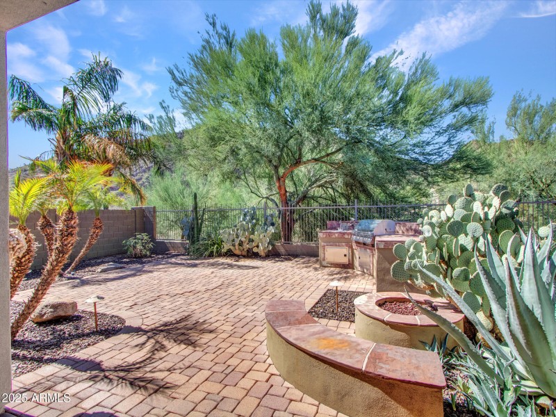Built in BBQ and Firepit
