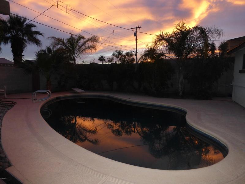 Backyard Pool