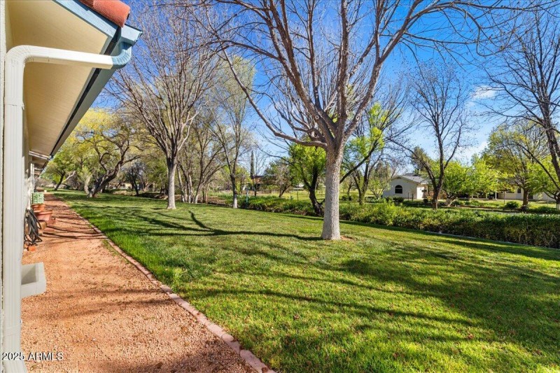 22-Backyard