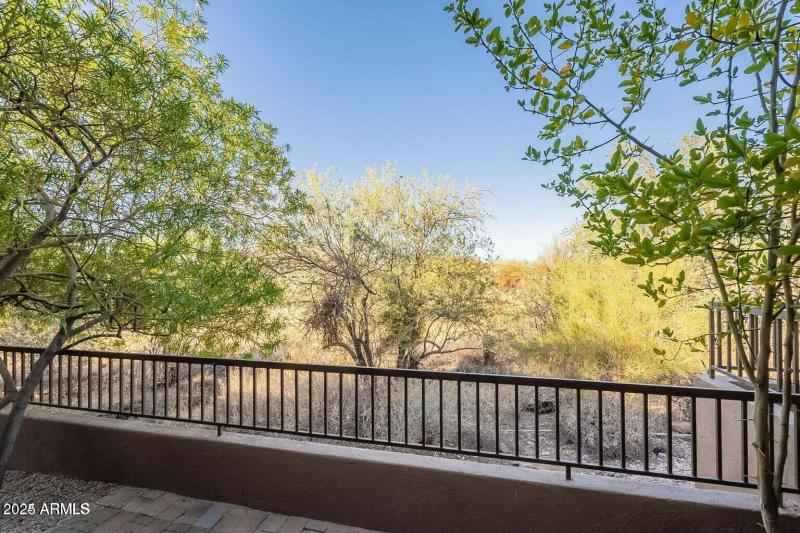 VIEW FROM BACK PATIO