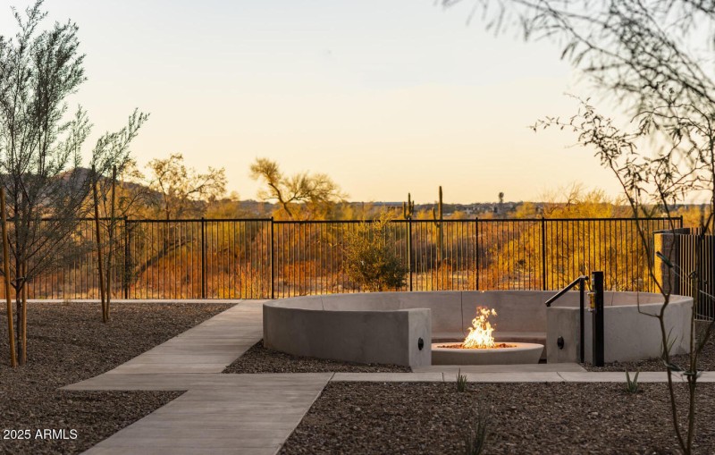 Community Firepit-1