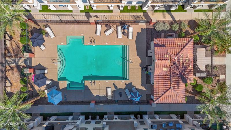 4018 Pony 101 - 33Community