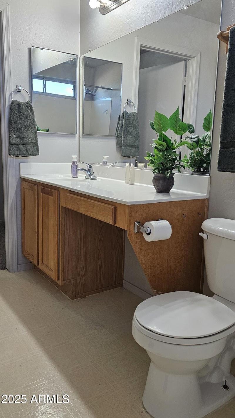 Master Bath Sink and Vanity