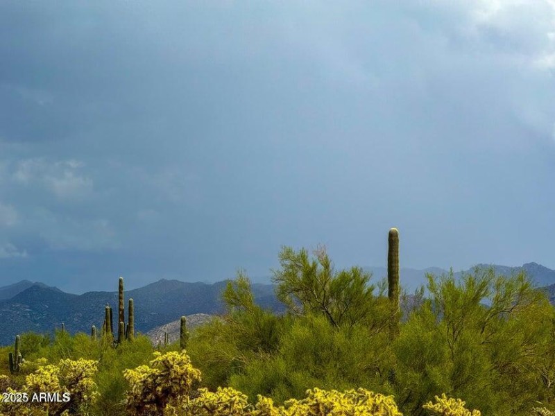 20251001054033117856000000-o