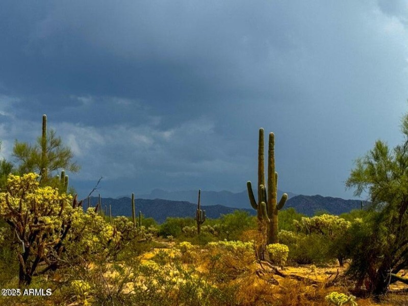 20251001054203482865000000-o