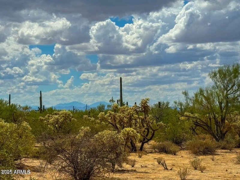 20251001054339442318000000-o