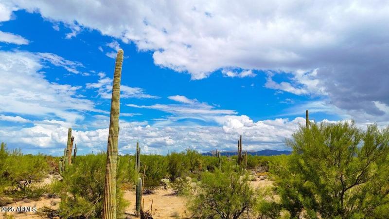 20251001055312537790000000-o