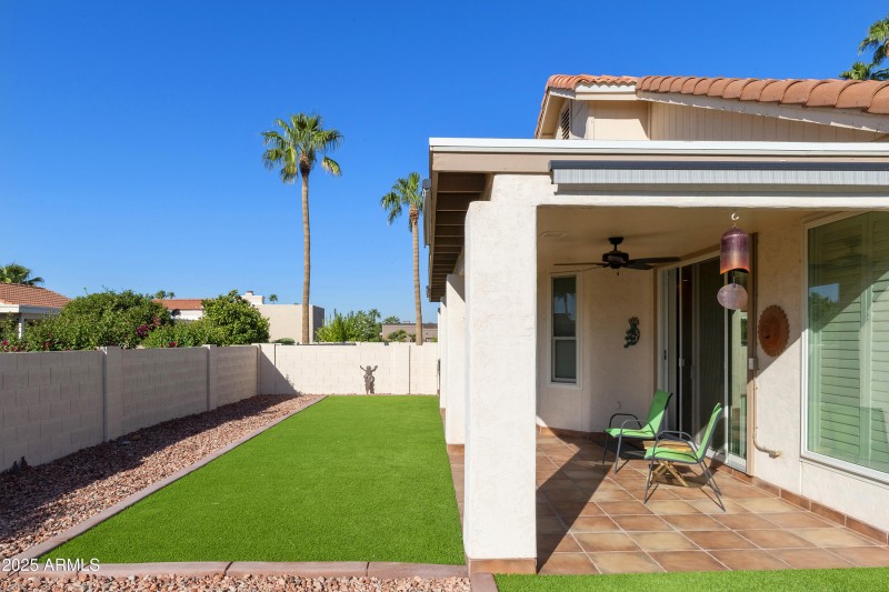Covered patio and yard