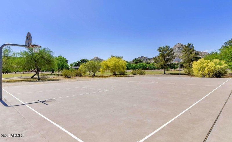 BASKETBALL COURT