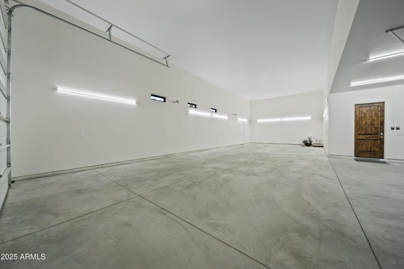 Lupine Ln Reshoot 00009