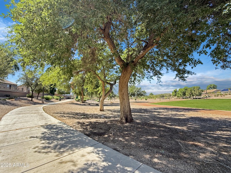 Sunrise Park Walking Paths