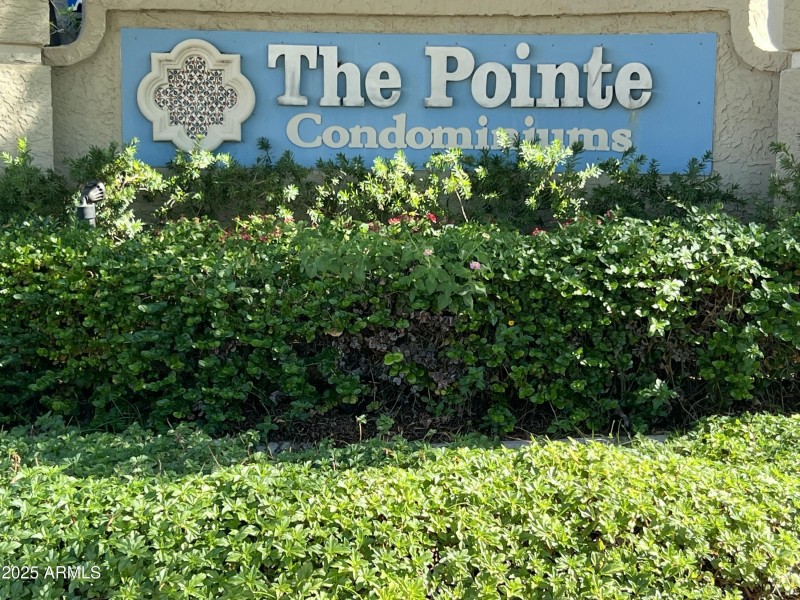 WWELCOME TO THE POINTE