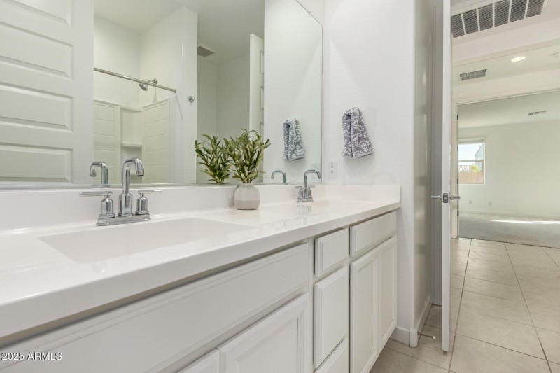 Jack and Jill Hall Bathroom