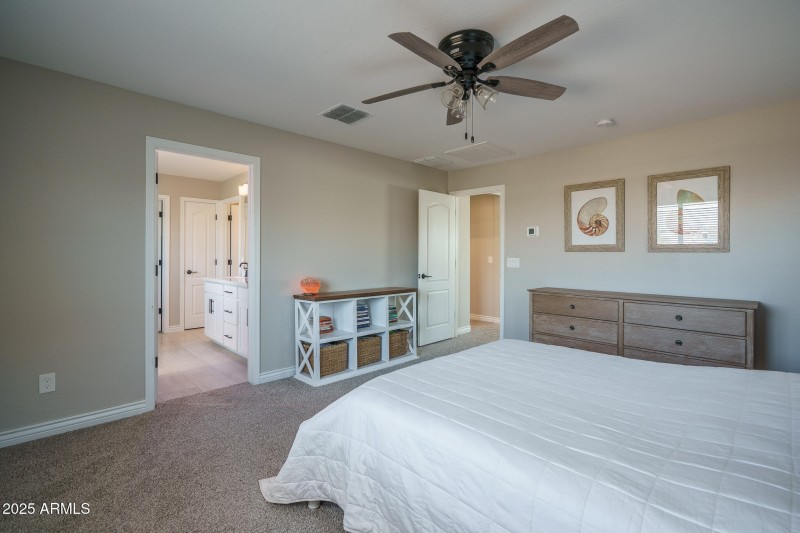 17) PRIMARY SUITE
