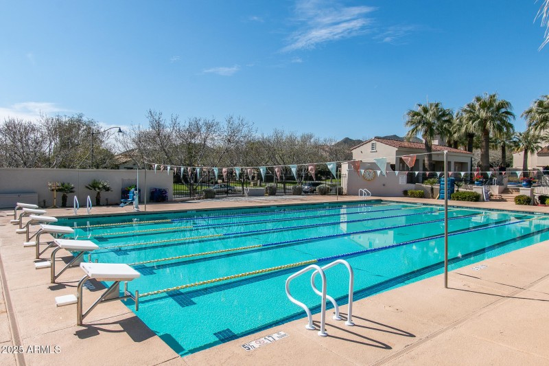 B3) LAP POOL