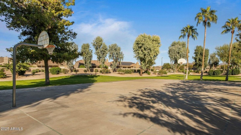 Basketball Court