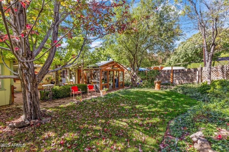 Backyard