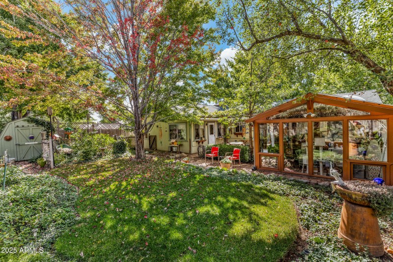 Backyard