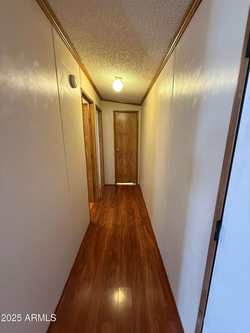 WhatsApp Image 2025-09-18 at 1.45.52 PM