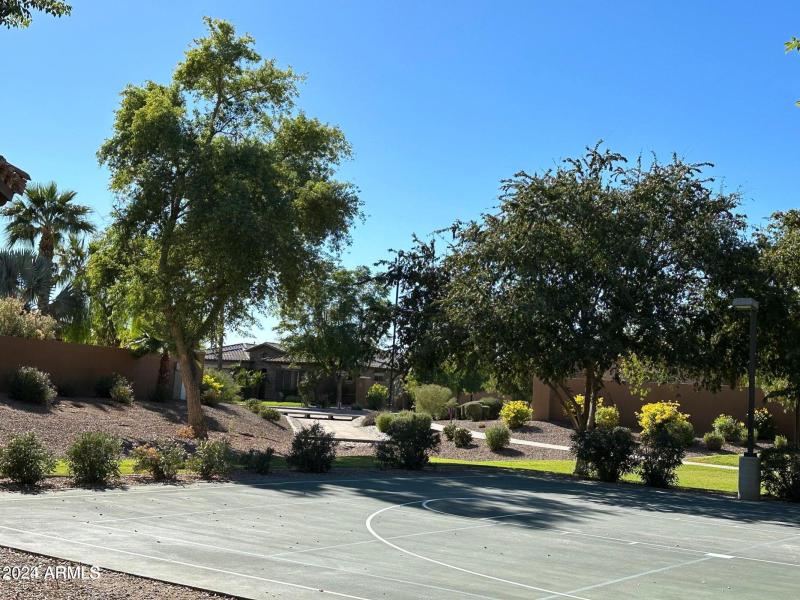 pickleball court cherrywood