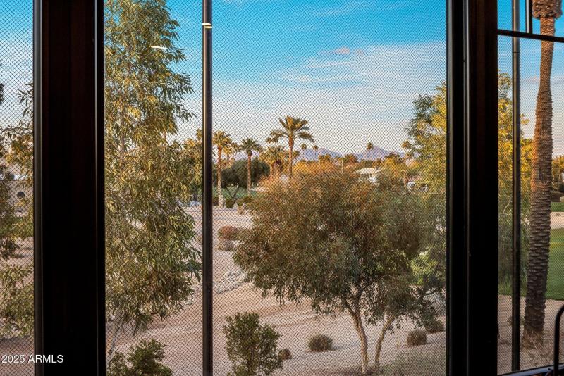 37-web-or-mls-D46A6621