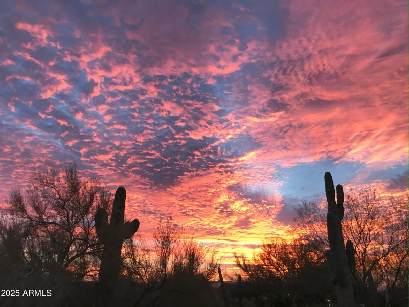 BackYardSunset